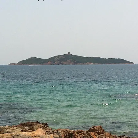 Appartement, Duplex, Piscine, Proximite Plage * Zonza